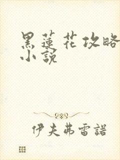 黑莲花攻略手册小说
