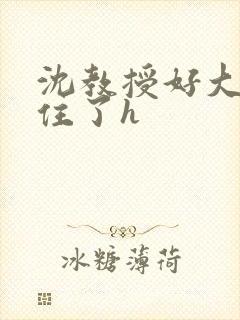 沈教授好大含不住了h