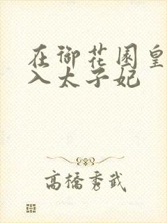 在御花园皇上进入太子妃封面