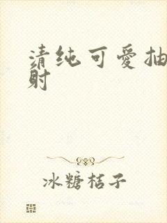 清纯可爱抽插内射