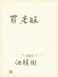 《罗老旺》小说封面