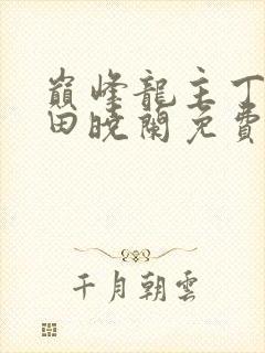 巅峰龙主丁长顺田晓兰免费阅读