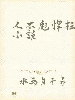 人不彪悍枉少年小说