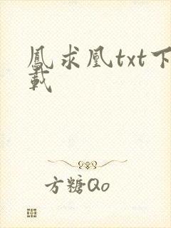 凤求凰txt下载