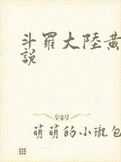 斗罗大陆黄色小说