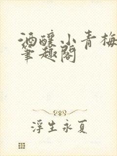酒酿小青梅po笔趣阁