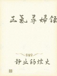 正气寻妇录