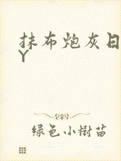 抹布炮灰日记BY