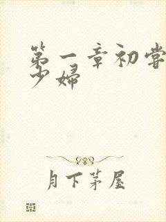 第一章初尝极品少妇