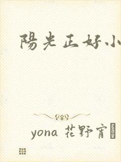 阳光正好小说