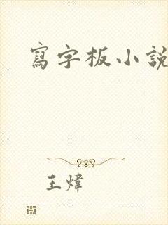 写字板小说