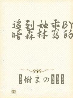 追到她乖BY黑暗森林写的小说