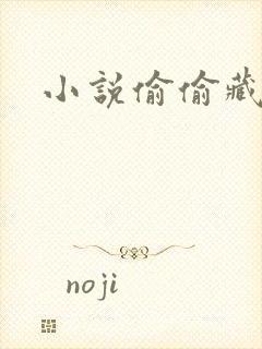 小说偷偷藏不住