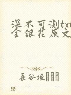 深不可测txt金银花原文免费阅读封面