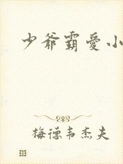 少爷霸爱小丫头