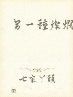 另一种灿烂生活