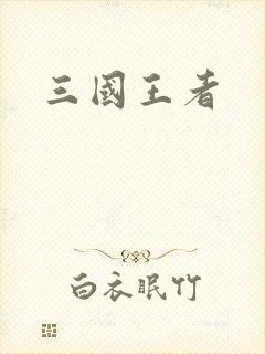 三国王者