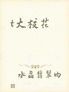 t大校花