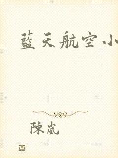 蓝天航空小说