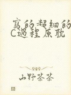 写的超细的多肉C过程原耽