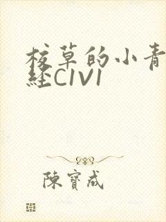 校草的小青梅不经C1V1