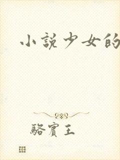 小说少女的心