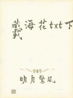 藏海花txt下载