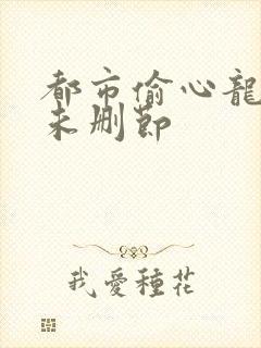 都市偷心龙爪手未删节