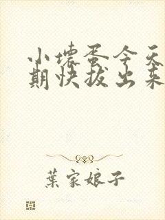 小坏蛋今天危险期快拔出来