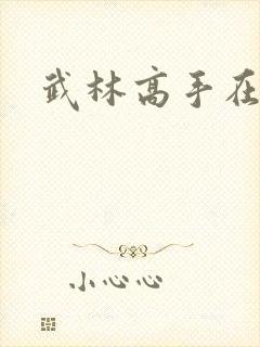 武林高手在异界