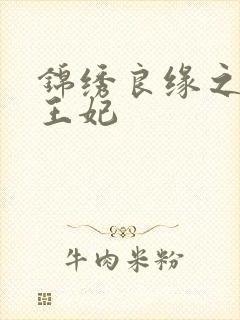 锦绣良缘之北地王妃