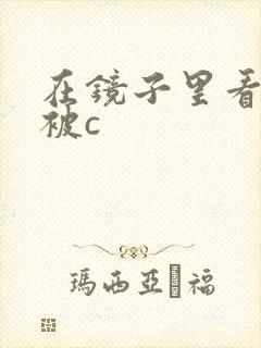 在镜子里看自己被c