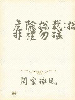 危险总裁:总裁非礼勿碰
