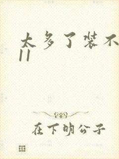 太多了装不下H11