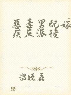 恶毒男配嫁给残疾反派后