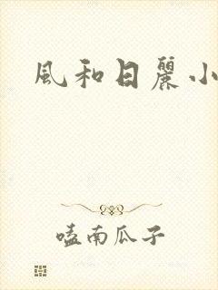 风和日丽小说