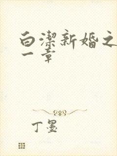白洁新婚之夜第一章