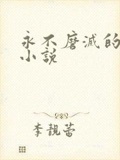 《永不磨灭的番号小说》小说封面