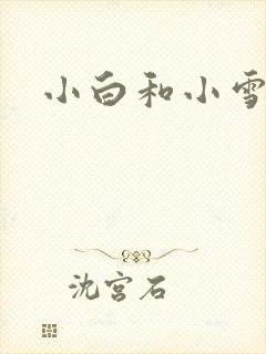 小白和小雪