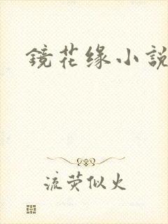 镜花缘小说
