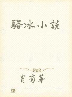 骆冰小说