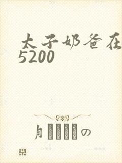 太子奶爸在花都5200