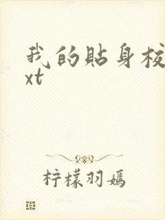 我的贴身校花txt