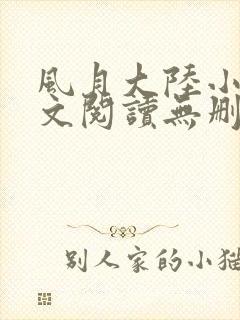 风月大陆小说全文阅读无删减