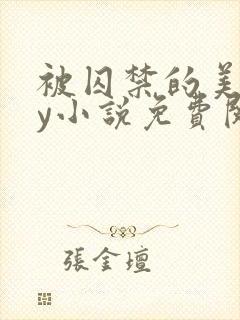 被囚禁的美人by小说免费阅读