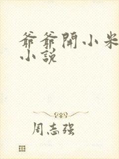 爷爷开小米的包小说