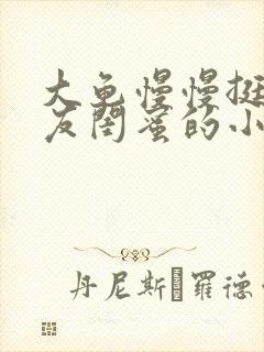 大龟慢慢挺进女友闺蜜的小说