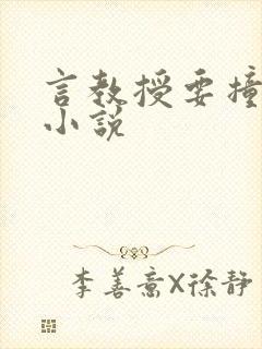 言教授要撞坏了小说