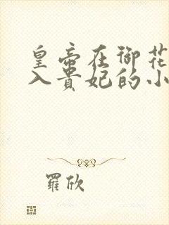 皇帝在御花园进入贵妃的小说