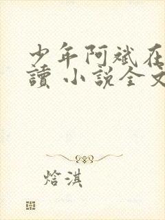 少年阿斌在线阅读 小说全文免费